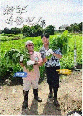 脱口秀大会高清